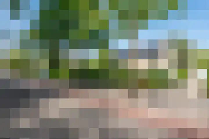 Aziëlaan 78 Son en Breugel thumbnail 45