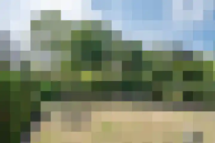 Aziëlaan 78 Son en Breugel thumbnail 47