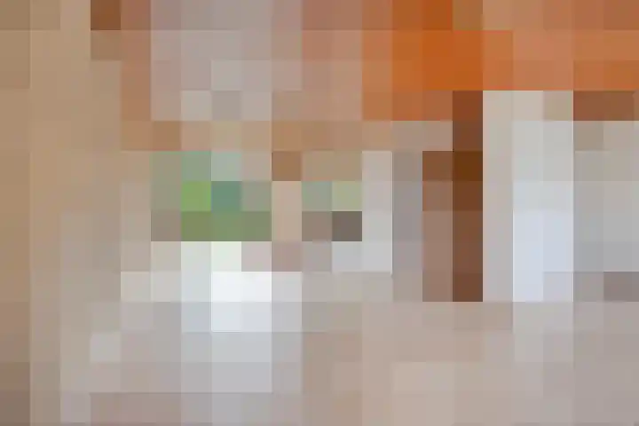 Aziëlaan 89 Son en Breugel thumbnail 11