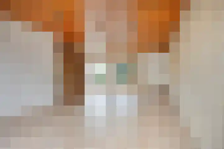 Aziëlaan 89 Son en Breugel thumbnail 12
