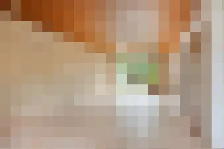 Aziëlaan 89 Son en Breugel thumbnail 15