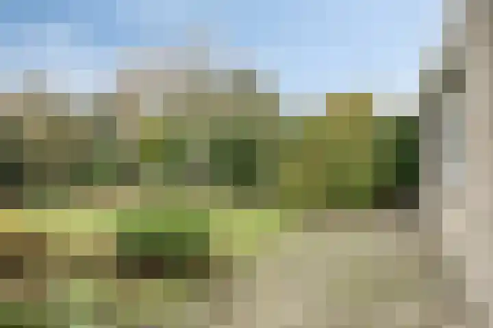 Aziëlaan 89 Son en Breugel thumbnail 4
