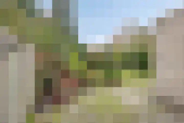 Aziëlaan 89 Son en Breugel thumbnail 53
