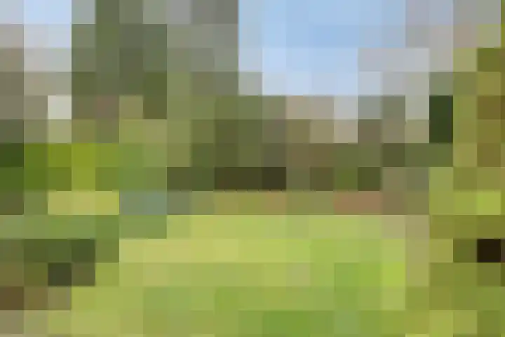 Aziëlaan 89 Son en Breugel thumbnail 54