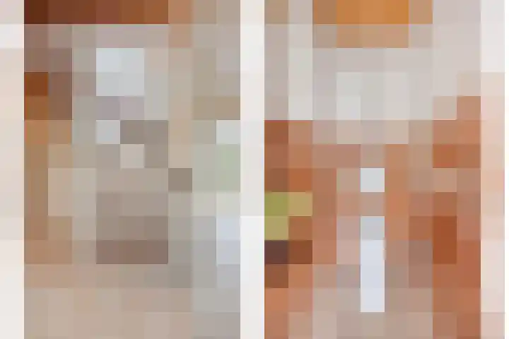 Aziëlaan 89 Son en Breugel thumbnail 9