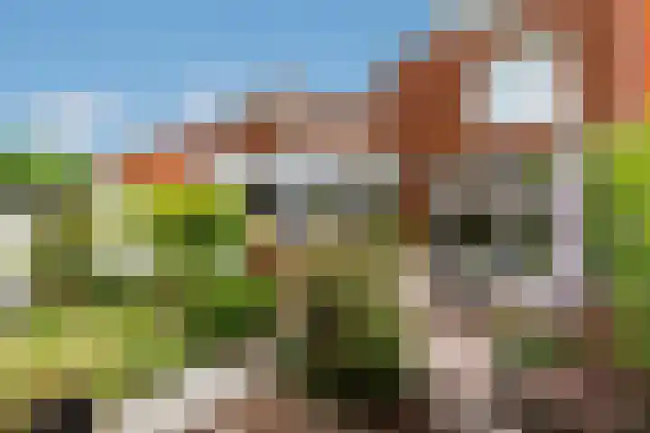Aziësingel 56 IJsselstein thumbnail 19