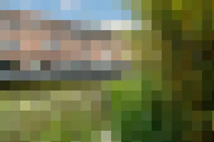 Aziësingel 56 IJsselstein thumbnail 33