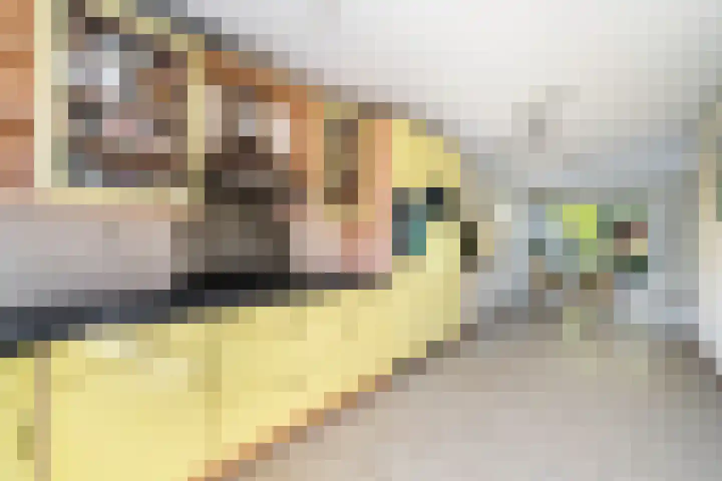 Azijnmakerstraat 30 Delfgauw thumbnail 11