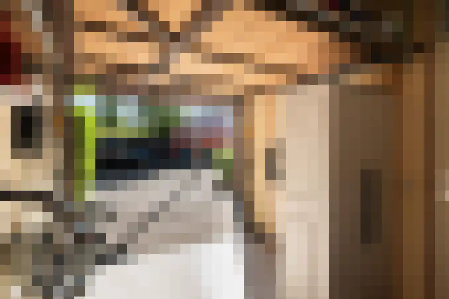 Azijnmakerstraat 30 Delfgauw thumbnail 25