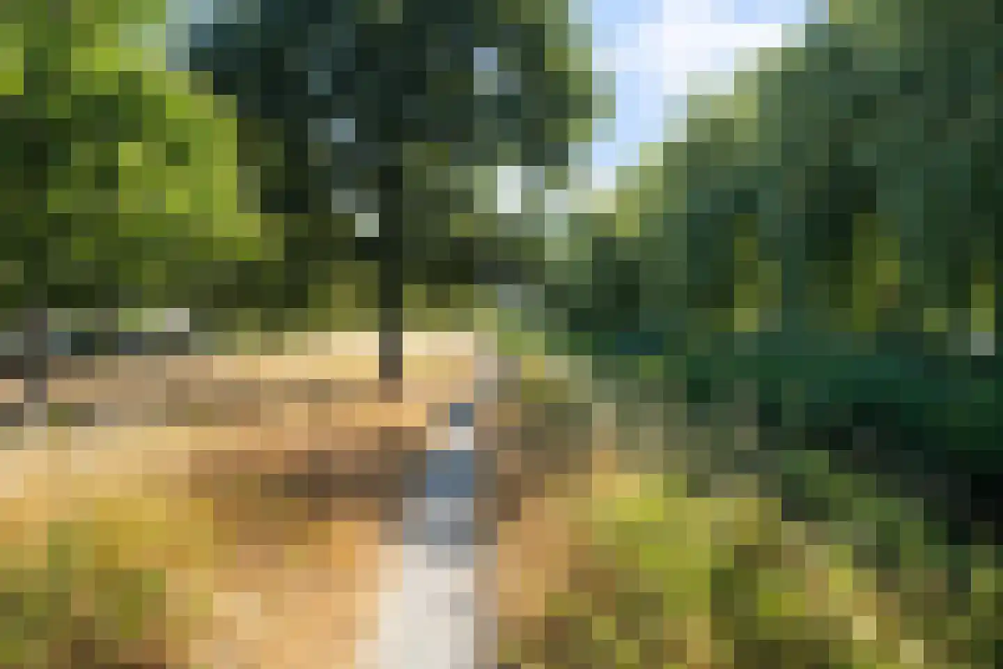 Azijnmakerstraat 30 Delfgauw thumbnail 29