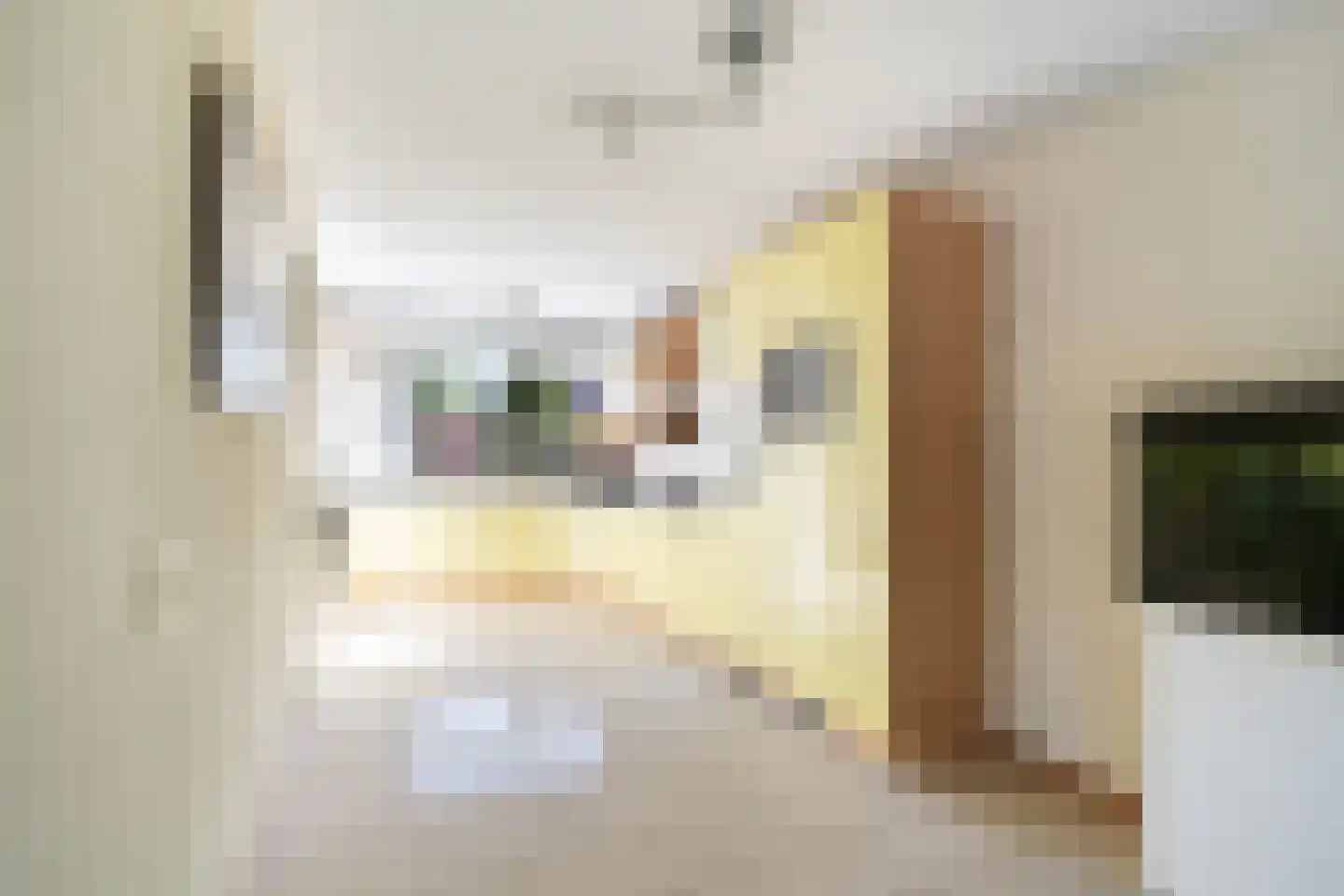 Azijnmakerstraat 30 Delfgauw thumbnail 4