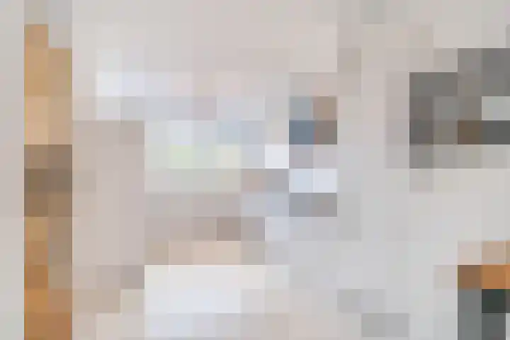 Azijnmakerstraat 4 Delfgauw thumbnail 12