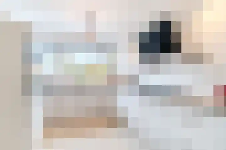 Azijnmakerstraat 4 Delfgauw thumbnail 13