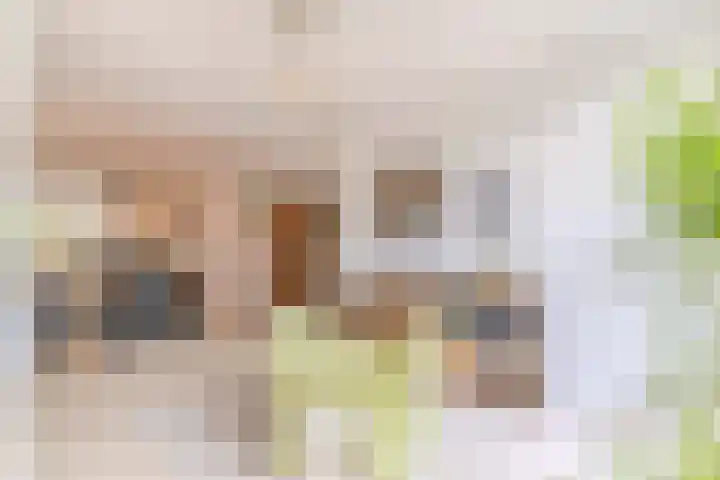 Azijnmakerstraat 4 Delfgauw thumbnail 19