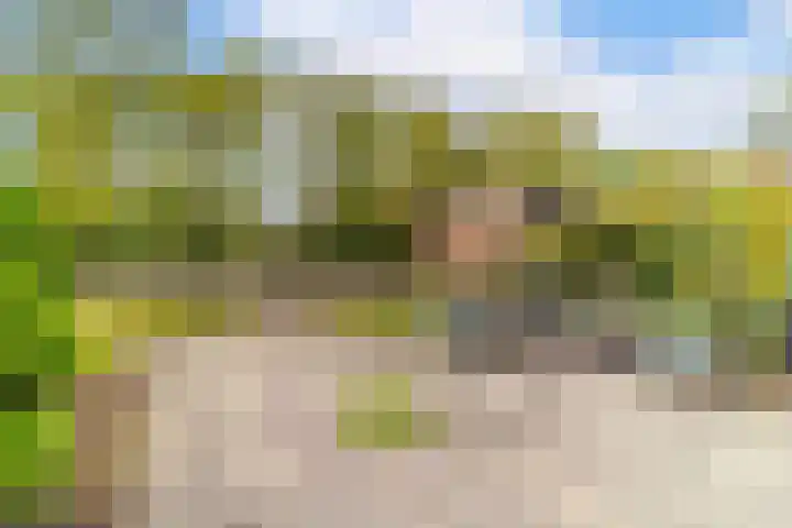 Azijnmakerstraat 4 Delfgauw thumbnail 24