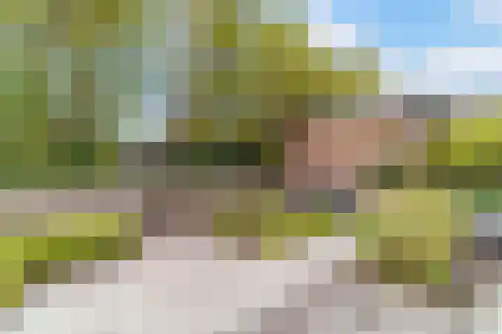 Azijnmakerstraat 4 Delfgauw thumbnail 27