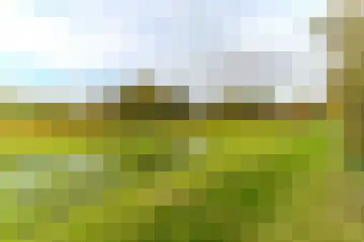Azijnmakerstraat 4 Delfgauw thumbnail 30