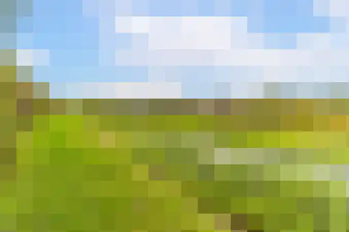 Azijnmakerstraat 4 Delfgauw thumbnail 31