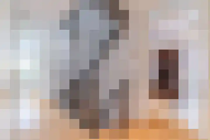 Azijnmakerstraat 4 Delfgauw thumbnail 34