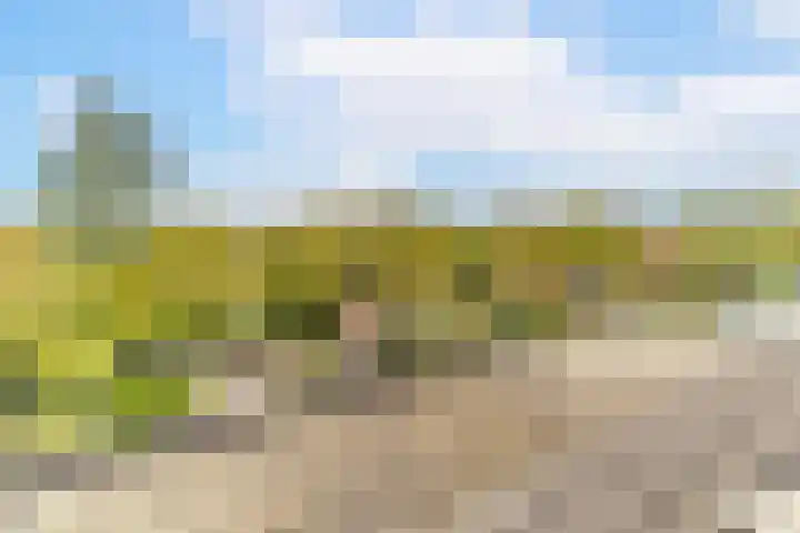 Azijnmakerstraat 4 Delfgauw thumbnail 39