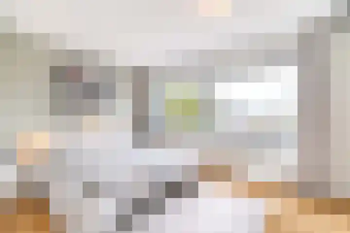 Azijnmakerstraat 4 Delfgauw thumbnail 51