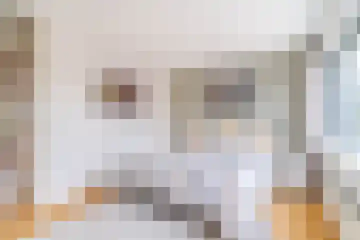 Azijnmakerstraat 4 Delfgauw thumbnail 52