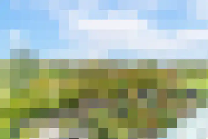 Azijnmakerstraat 4 Delfgauw thumbnail 60