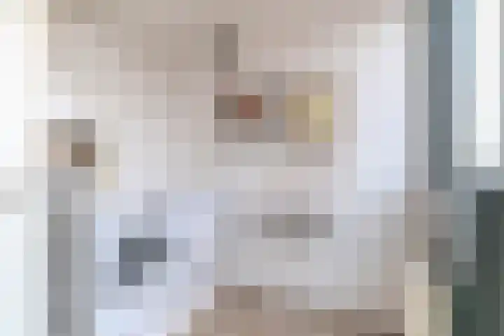 Azijnmakerstraat 4 Delfgauw thumbnail 61