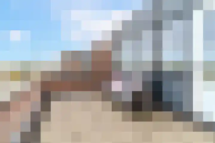 Azijnmakerstraat 4 Delfgauw thumbnail 62