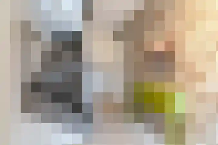 Azijnmakerstraat 4 Delfgauw thumbnail 7