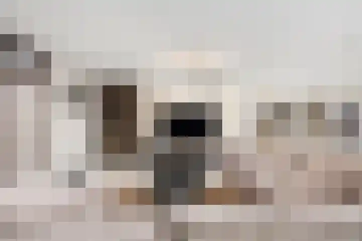 Azoren 11 Capelle aan den IJssel thumbnail 12