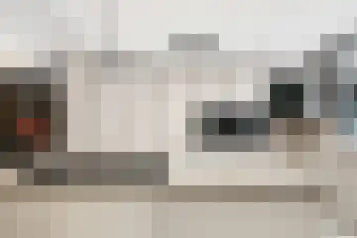 Azoren 11 Capelle aan den IJssel thumbnail 22