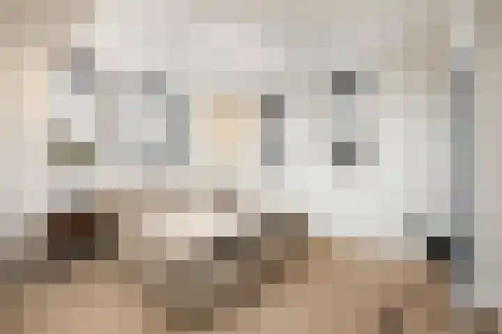Azoren 11 Capelle aan den IJssel thumbnail 31