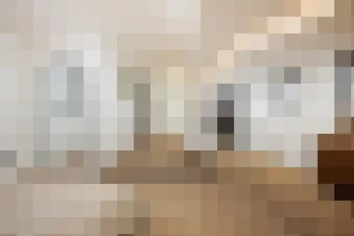 Azoren 11 Capelle aan den IJssel thumbnail 32
