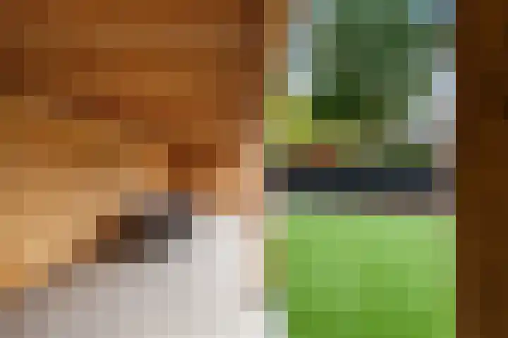 Azoren 11 Capelle aan den IJssel thumbnail 59