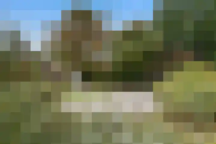Azoren 11 Capelle aan den IJssel thumbnail 6
