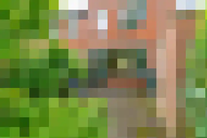 Azoren 47 Utrecht thumbnail 20
