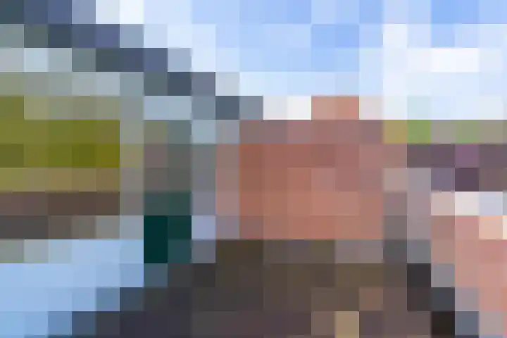 Azoren 47 Utrecht thumbnail 40