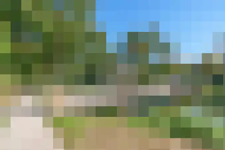 Azoren 47 Utrecht thumbnail 44