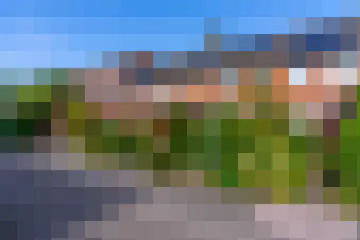 Azoren 47 Utrecht thumbnail 52