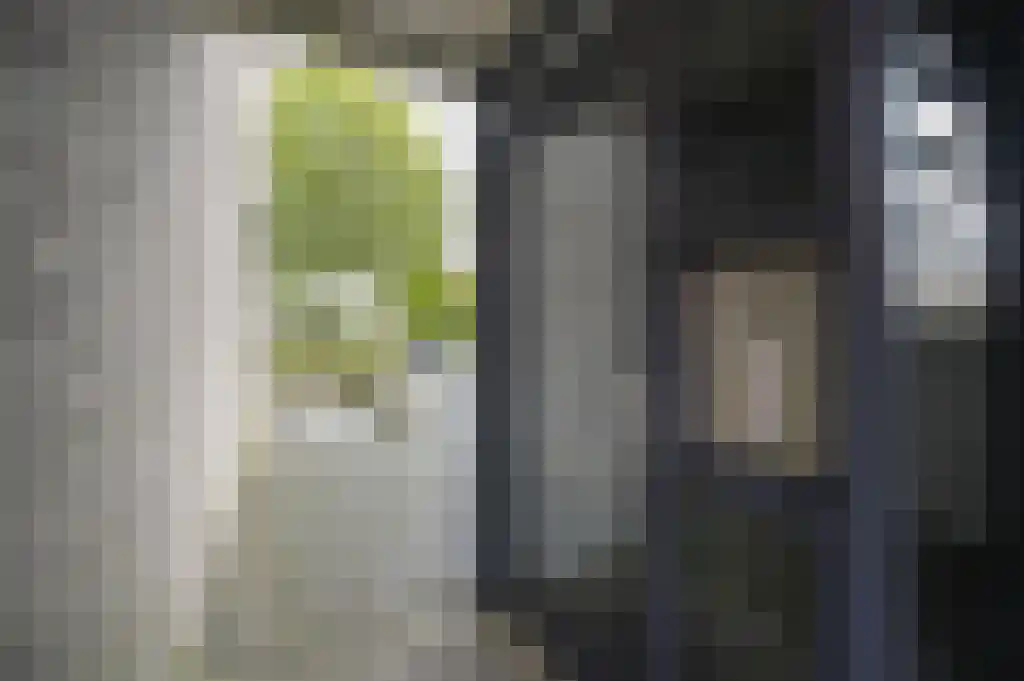 Azorenweg 11 Almere thumbnail 5