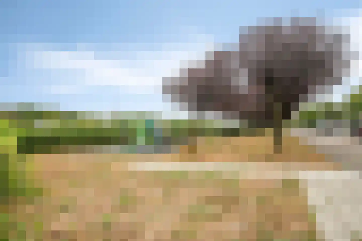 Azorenweg 27 Almere thumbnail 36
