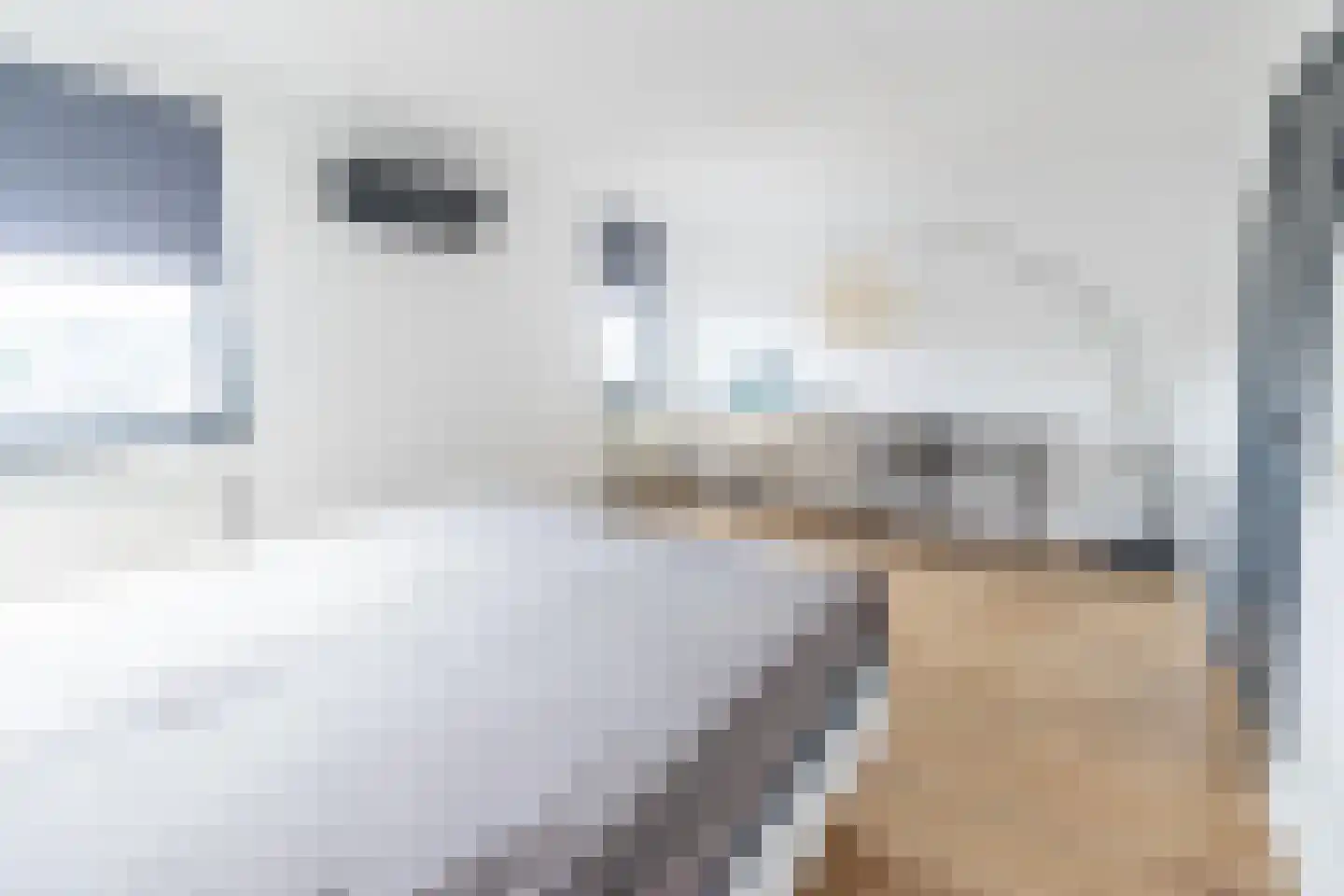 Azorenweg 32 Almere thumbnail 18