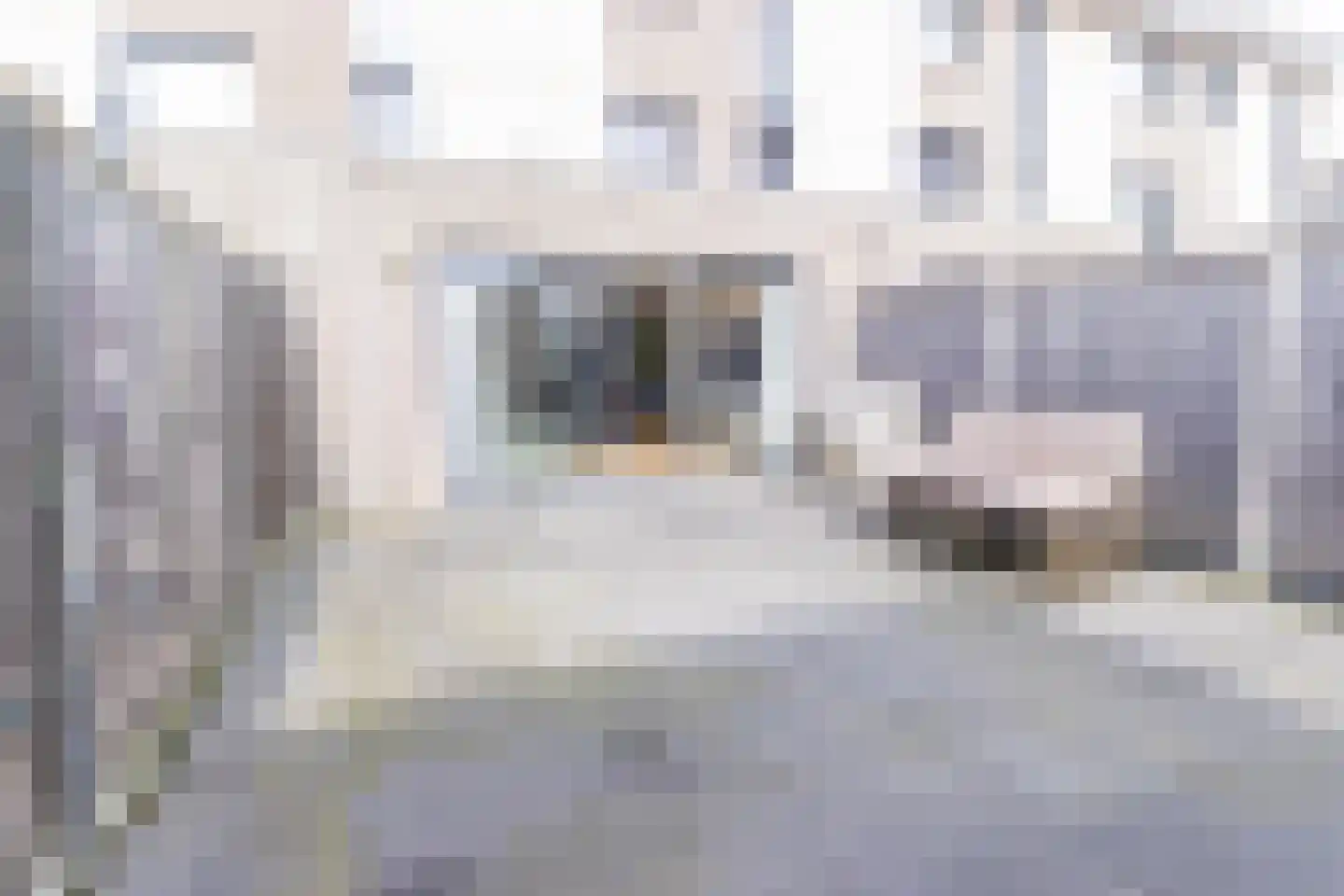 Azorenweg 32 Almere thumbnail 23