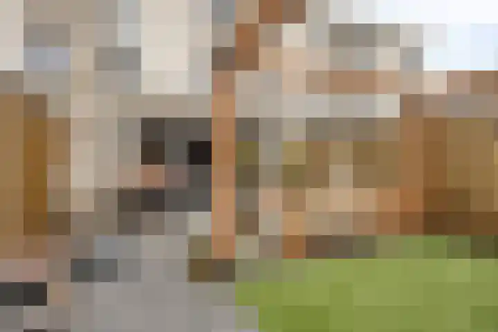 Azorenweg 34 Almere thumbnail 34