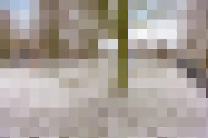 Azorenweg 34 Almere thumbnail 41