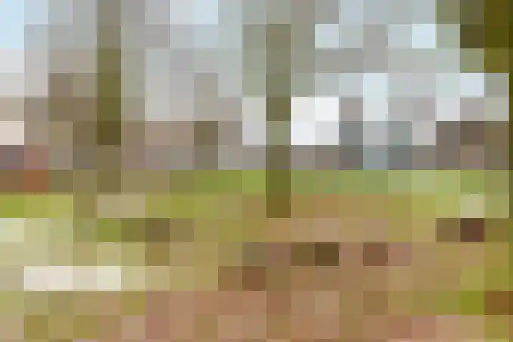 Azorenweg 37 Almere thumbnail 28