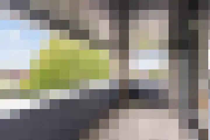 Azorenweg 9 Almere thumbnail 37
