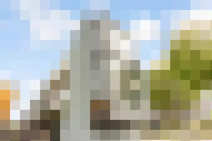 Azorenweg 9 Almere thumbnail 42