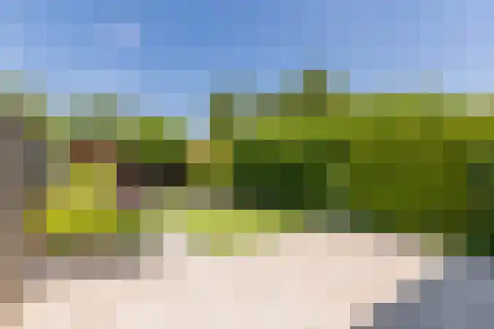 Azuriet 9 Leusden foto 2